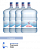 Комплект: «Легенда Гор Архыз» 19 литров 4 шт. + механическая помпа (бесплатно) картинки